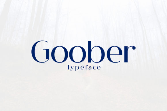 Goober Display Font: A Modern Typeface for Campaign Design