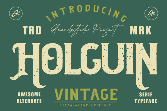 Holguin Bold Display Font for Campaign Headlines